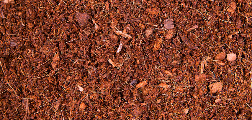 Cocopeat/Coir Chips