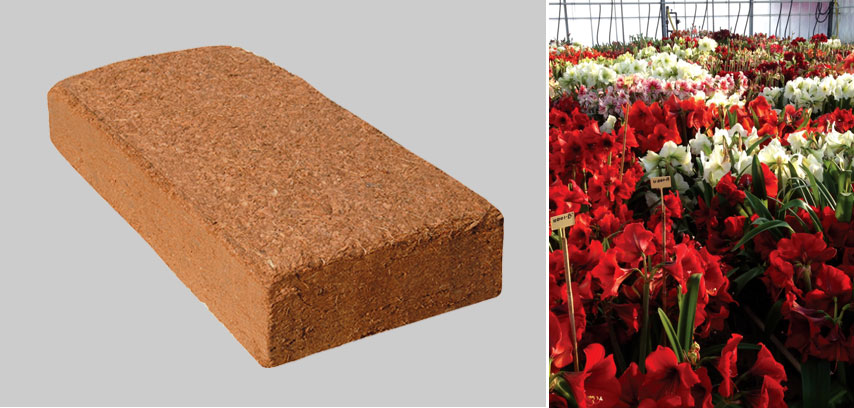 Cocopeat/Coir Briquettes