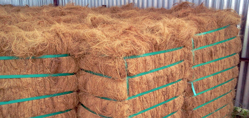 Coir Fiber Bale