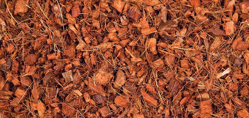 Cocopeat/Coir Mulch